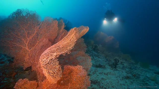 Maledive Islands