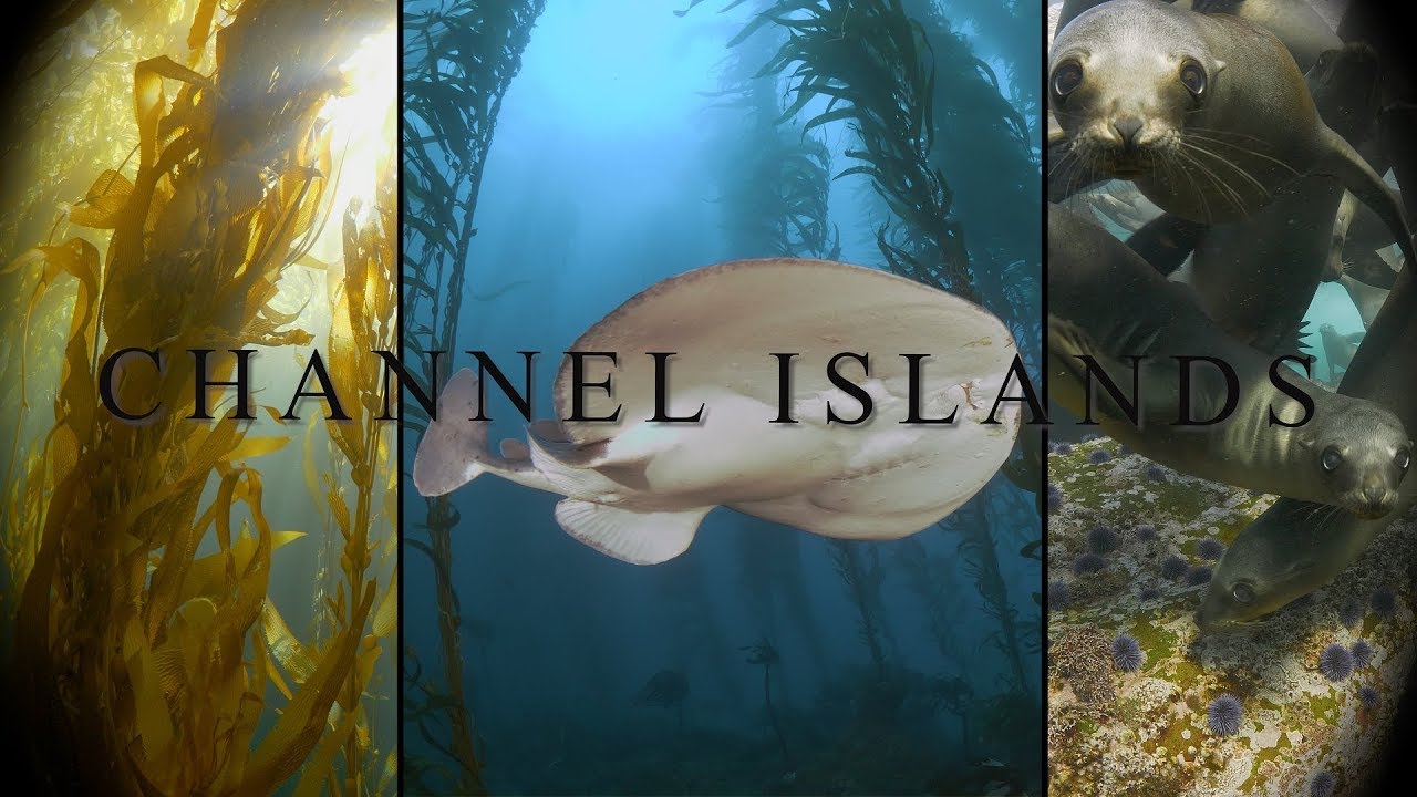 The Channel Islands